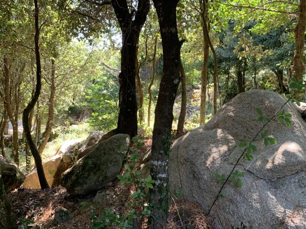Porto-Vecchio (20137) Beaucoup de cachet pour ce terrain à bâtir au coeur du village de l'Ospédale