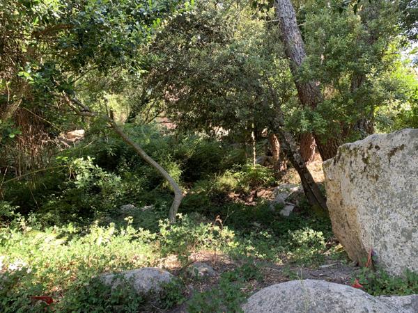 Porto-Vecchio (20137) Beaucoup de cachet pour ce terrain à bâtir au coeur du village de l'Ospédale