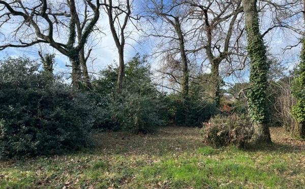 Terrain à vendre |  Mios |  1535 m²