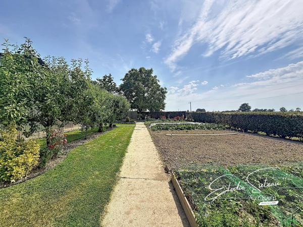 10min Segré Longère 150m2 5 chambres 1,6 hectares