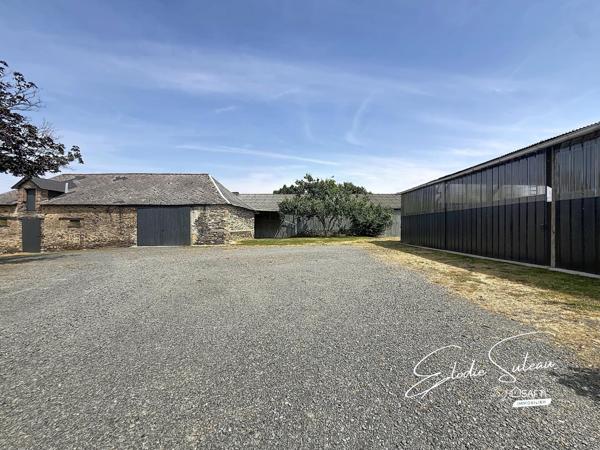 10min Segré Longère 150m2 5 chambres 1,6 hectares