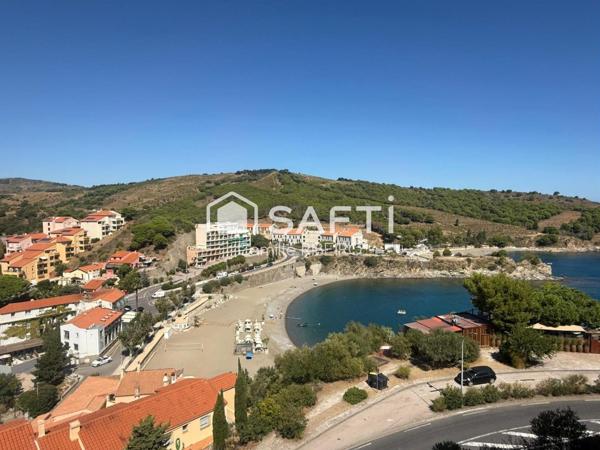 BANYULS SUR MER, APPARTEMENT T2 VUE EXEPTIONNELLE MER ET MONTAGNE,PARKING,CAVE