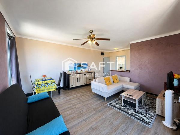 BANYULS SUR MER, APPARTEMENT T2 VUE EXEPTIONNELLE MER ET MONTAGNE,PARKING,CAVE