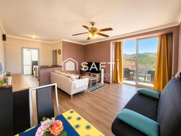 BANYULS SUR MER, APPARTEMENT T2 VUE EXEPTIONNELLE MER ET MONTAGNE,PARKING,CAVE