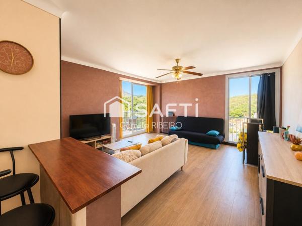 BANYULS SUR MER, APPARTEMENT T2 VUE EXEPTIONNELLE MER ET MONTAGNE,PARKING,CAVE