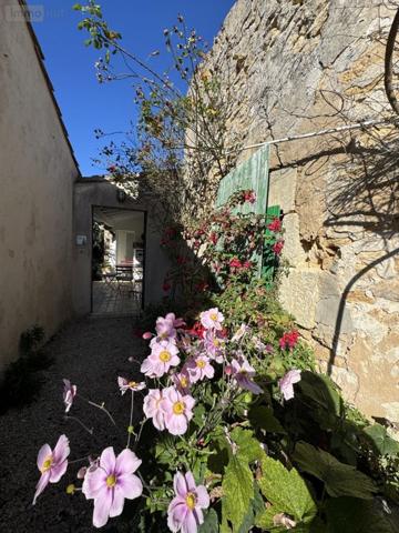 Maison à vendre à Loix en Charente-Maritime (17111), ref : 17018-1173