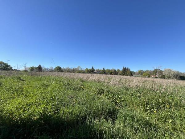 Terrain à vendre |  Saint-Junien |  19935 m²