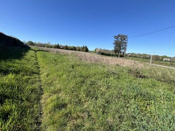Terrain à vendre |  Saint-Junien |  19935 m²