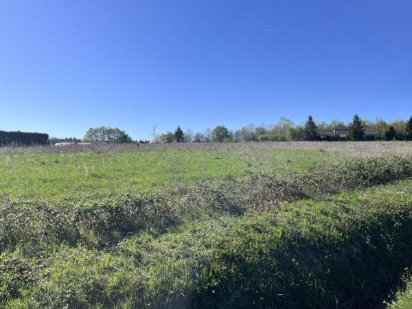 Terrain à vendre |  Saint-Junien |  19935 m²