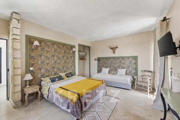 Arles – Domaine de caractère au cœur de la Camargue, activité de gîtes et chambres d’hôtes