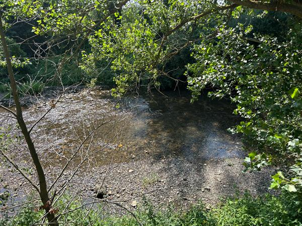 A vendre Terrain de loisirs à Trèbes
