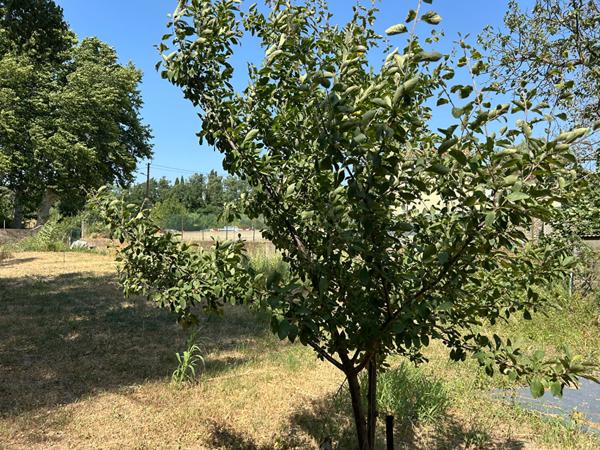 A vendre Terrain de loisirs à Trèbes