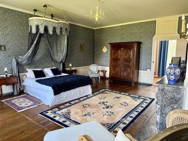 Majestueux Château du XVIIe IMH 22 chambres - douves - piscine - parc 17ha