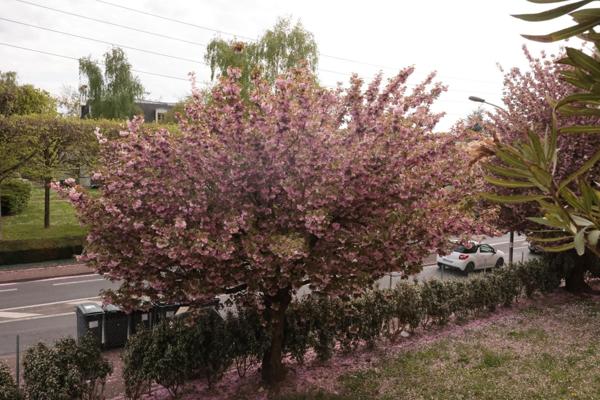 bel appartement de 4 pièces ( 3 chambres) bien agencé