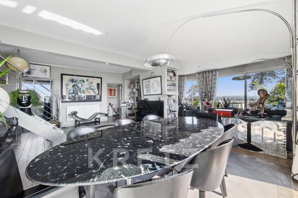 Appartement Duplex avec rooftop vue Paris