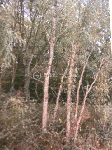 Terrain de loisirs de 16 160 m²