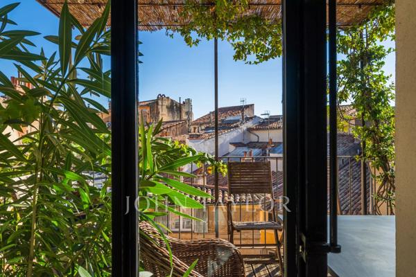Appartement Terrasse100m2 + T2 35 m2 centre ville