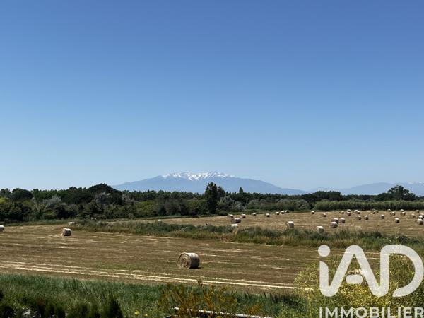 Maison à vendre 5 pièces 162 m² Sainte-Marie-la-Mer