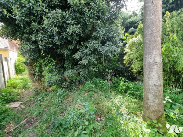 Maison de ville avec trois chambres et jardin