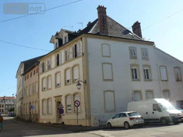 Achat - Maison | Maison de ville Rambervillers 88700 15 pièces 350 m 2 234 m 2