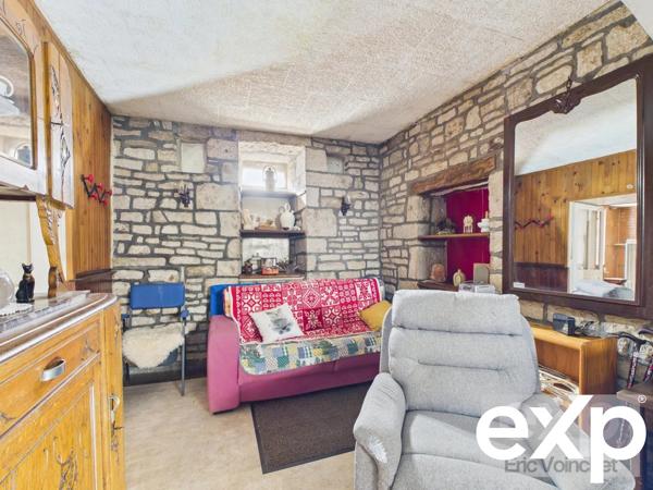 MAISON 3 PIÈCES AVEC GRAND JARDIN ARBORÉ