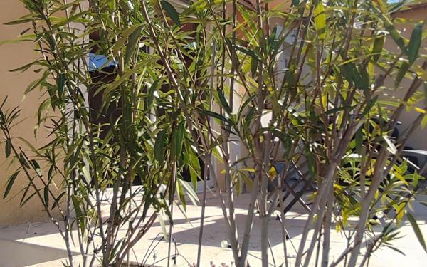 Maison à vendre    3 pièces • 120 m2 Saint-Martin-de-Valgalgues