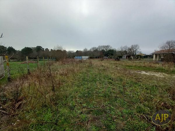 Vente terrain Lesparre Medoc : 97 140 € - AJP Lesparre Immobilier