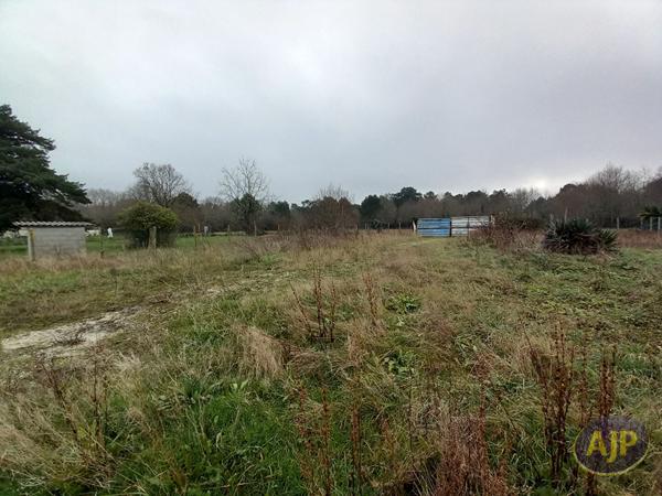 Vente terrain Lesparre Medoc : 97 140 € - AJP Lesparre Immobilier