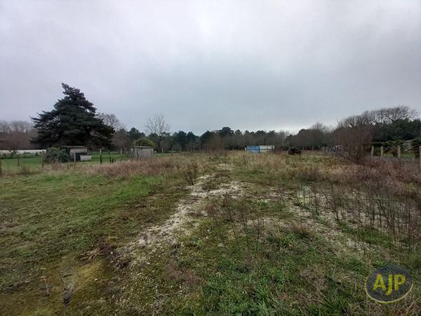 Vente terrain Lesparre Medoc : 97 140 € - AJP Lesparre Immobilier