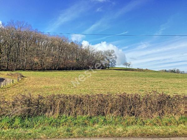 Terrain à vendre - Curemonte - 5 390 m2 - Vue splendide