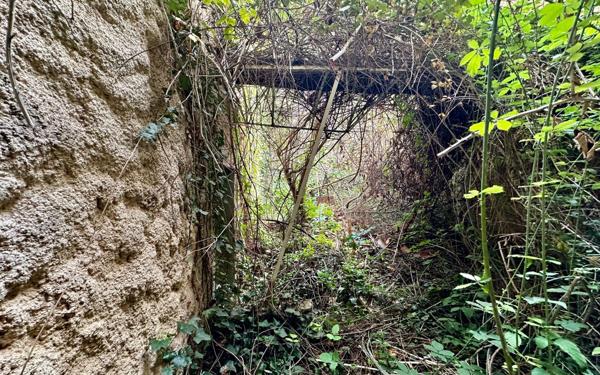 Maison à vendre    3 pièces •  Villefranche-de-Conflent