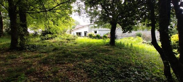 Maison ancienne Saint-Sulpice-de-Cognac 162 m²