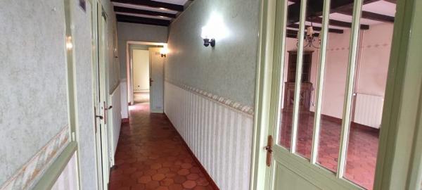 Maison ancienne Saint-Sulpice-de-Cognac 162 m²