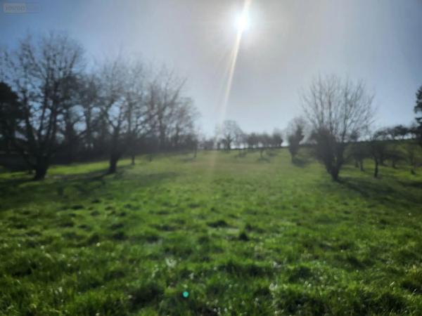 Achat - Maison | Maison Trannes 10140 7 pièces 220 m 2 6700 m 2