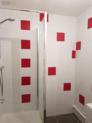 Appartement à louer à Cuisery en Saône-et-Loire (71290), ref : 13755/447