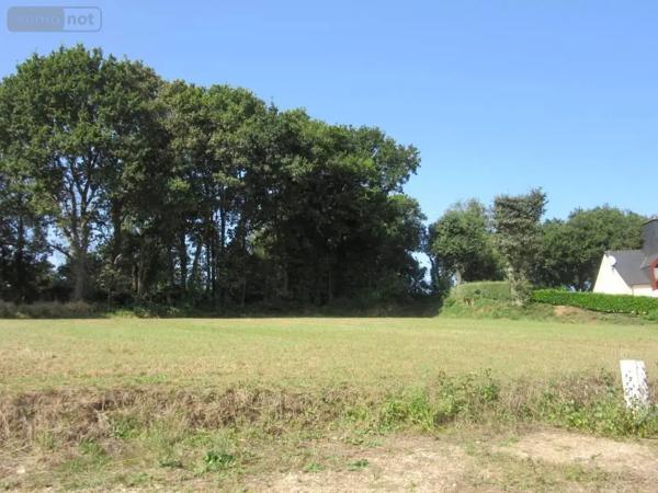Achat - Terrain à bâtir Carhaix-Plouguer 29270 886 m 2