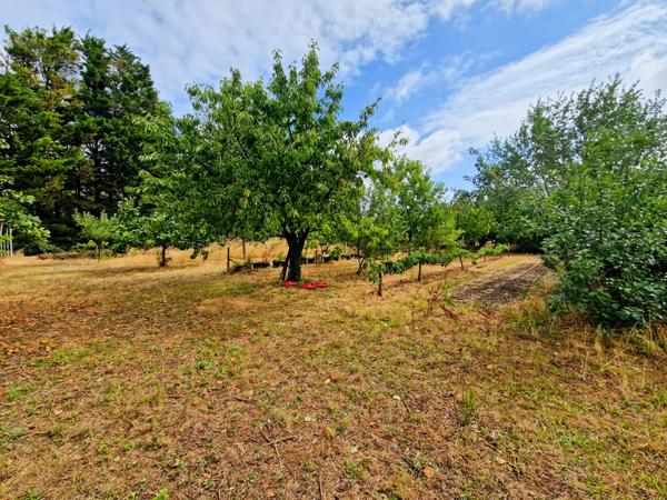 Maison à vendre 5 pièces proche de SURGERES (17) dépendances et terrain 6 800 m².