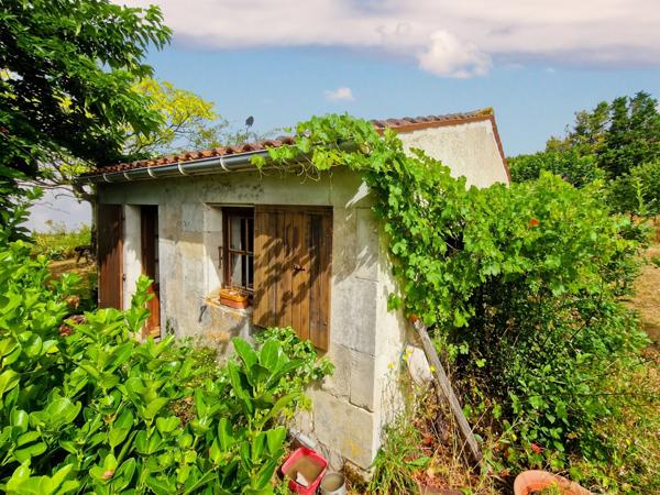 Maison à vendre 5 pièces proche de SURGERES (17) dépendances et terrain 6 800 m².