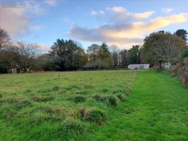 Terrain à Batir à vendre à Carhaix-Plouguer dans le Finistère (29270), ref : 29066-864828