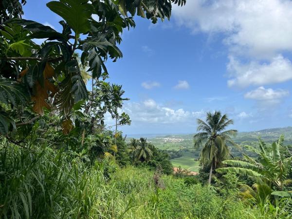 Terrain à bâtir 553 m² - Le François, Bois-Neuf - Vue dégagée