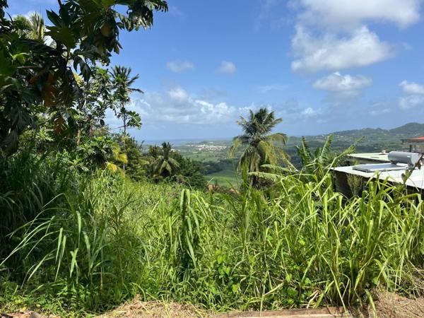 Terrain à bâtir 553 m² - Le François, Bois-Neuf - Vue dégagée