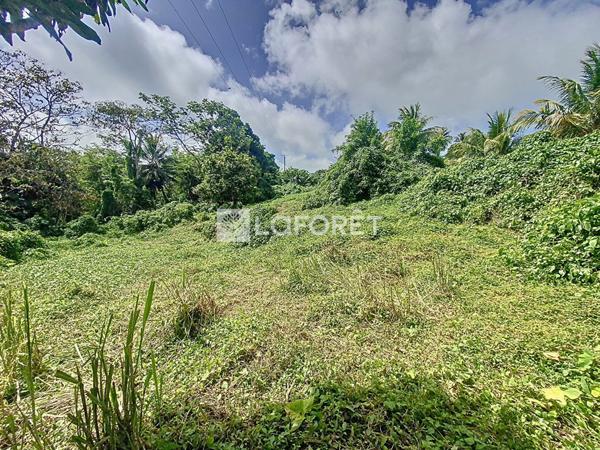 Achat terrain Capesterre-Belle-Eau - 1649 m² - 120 000 €