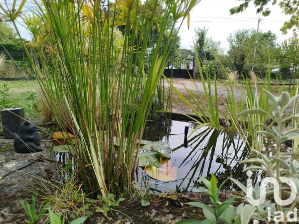 Maison à vendre 4 pièces 76 m² Camoël