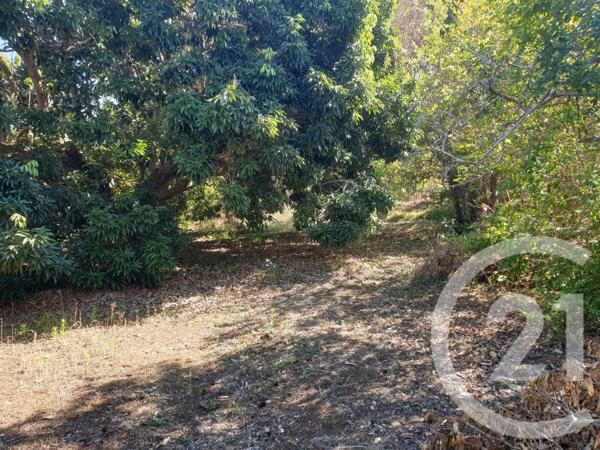 Terrain à vendre  412 m2 ST PAUL - 974
