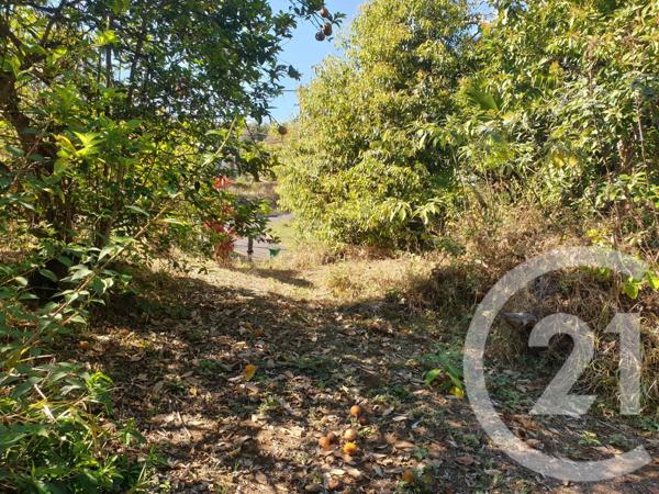 Terrain à vendre  412 m2 ST PAUL - 974