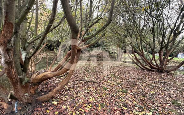 Terrain à vendre    Pont-Saint-Mard