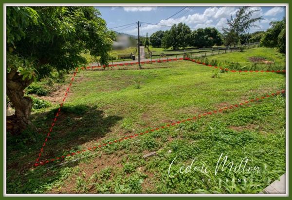 Terrain de 774 m² – Lamentin - Grand-Case