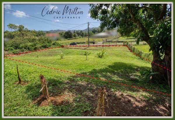 Terrain de 774 m² – Lamentin - Grand-Case