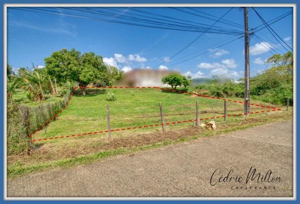 Terrain de 774 m² – Lamentin - Grand-Case
