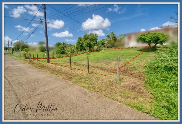 Terrain de 774 m² – Lamentin - Grand-Case